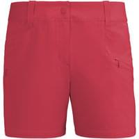 the north face horizon sunnyside shorts