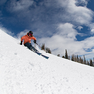 All Mountain Blizzard