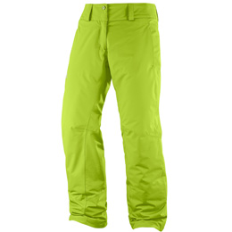 salomon express pants